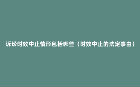 诉讼时效中止情形包括哪些（时效中止的法定事由）