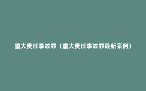 重大责任事故罪（重大责任事故罪最新案例）