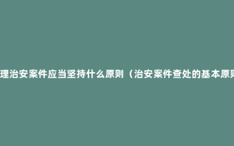 办理治安案件应当坚持什么原则（治安案件查处的基本原则）