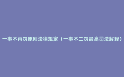 一事不再罚原则法律规定（一事不二罚最高司法解释）