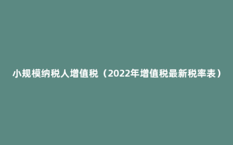 小规模纳税人增值税（2022年增值税最新税率表）