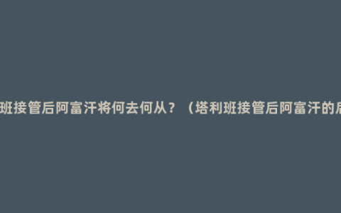 塔利班接管后阿富汗将何去何从？（塔利班接管后阿富汗的后续）