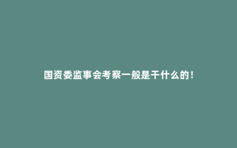 国资委监事会考察一般是干什么的！