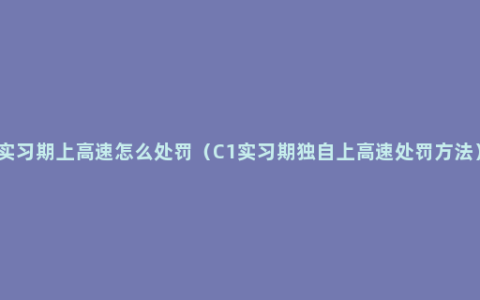 实习期上高速怎么处罚（C1实习期独自上高速处罚方法）