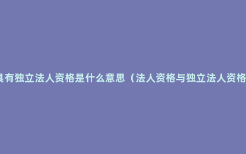 具有独立法人资格是什么意思（法人资格与独立法人资格）