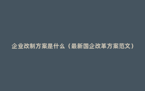 企业改制方案是什么（最新国企改革方案范文）