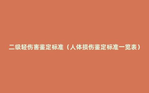 二级轻伤害鉴定标准（人体损伤鉴定标准一览表）