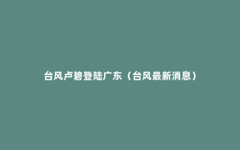 台风卢碧登陆广东（台风最新消息）