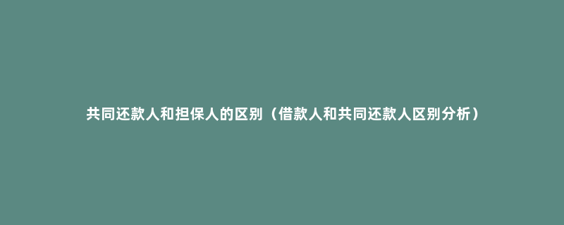 共同还款人和担保人的区别（借款人和共同还款人区别分析）