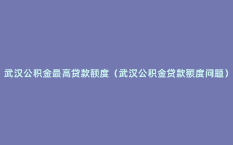 武汉公积金最高贷款额度（武汉公积金贷款额度问题）