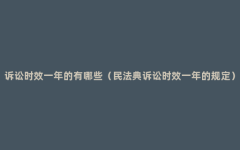 诉讼时效一年的有哪些（民法典诉讼时效一年的规定）