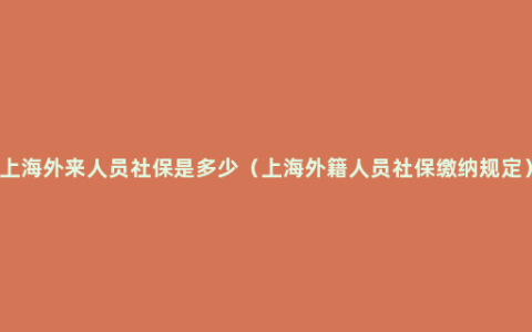 上海外来人员社保是多少（上海外籍人员社保缴纳规定）