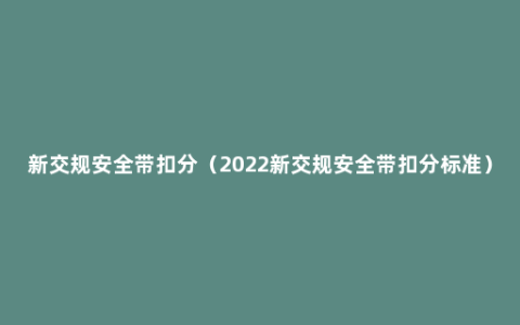 新交规安全带扣分（2022新交规安全带扣分标准）