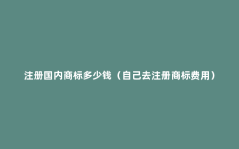 注册国内商标多少钱（自己去注册商标费用）