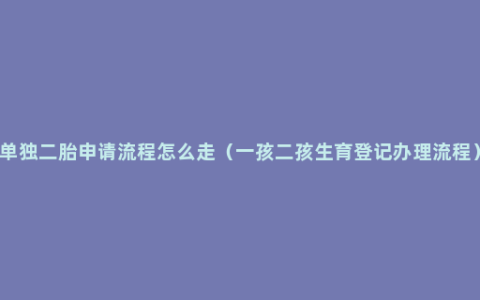 单独二胎申请流程怎么走（一孩二孩生育登记办理流程）