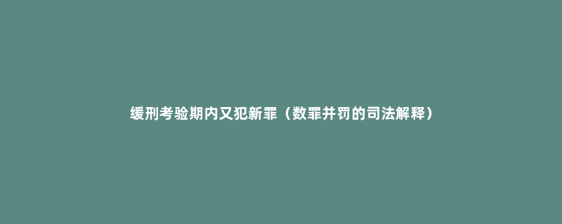 缓刑考验期内又犯新罪（数罪并罚的司法解释）