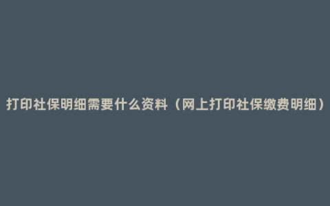 打印社保明细需要什么资料（网上打印社保缴费明细）