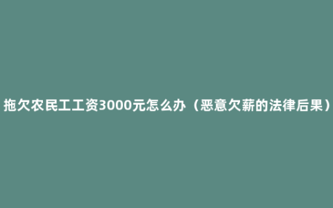 拖欠农民工工资3000元怎么办（恶意欠薪的法律后果）