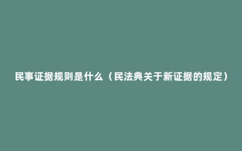 民事证据规则是什么（民法典关于新证据的规定）