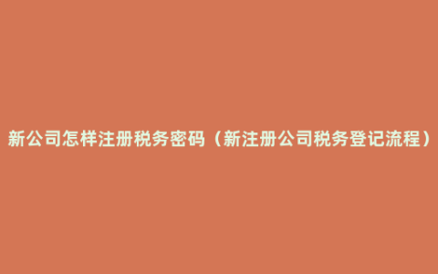 新公司怎样注册税务密码（新注册公司税务登记流程）