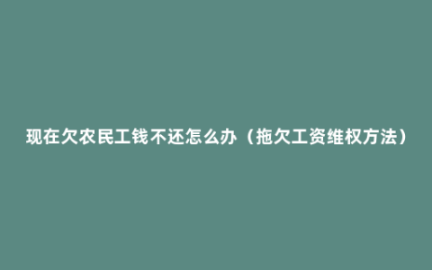 现在欠农民工钱不还怎么办（拖欠工资维权方法）