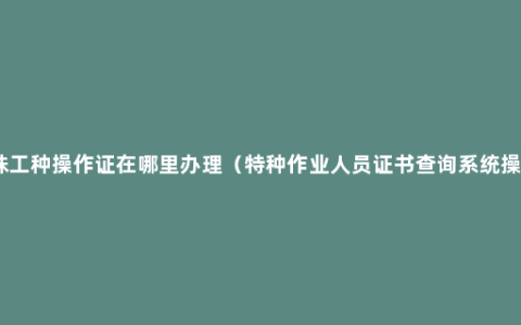 特殊工种操作证在哪里办理（特种作业人员证书查询系统操作）