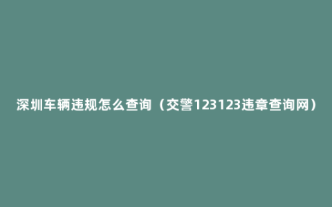 深圳车辆违规怎么查询（交警123123违章查询网）