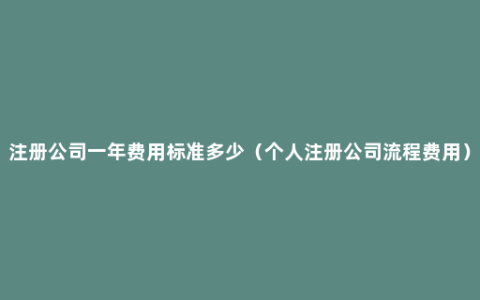 注册公司一年费用标准多少（个人注册公司流程费用）