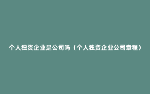 个人独资企业是公司吗（个人独资企业公司章程）