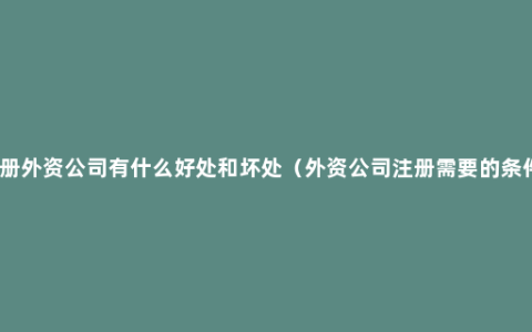 注册外资公司有什么好处和坏处（外资公司注册需要的条件）