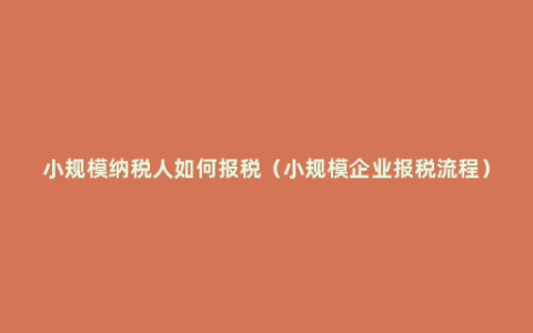 小规模纳税人如何报税（小规模企业报税流程）