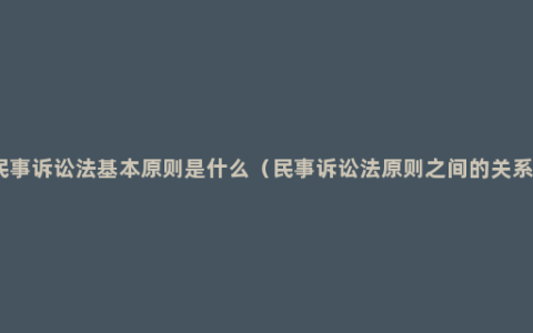 民事诉讼法基本原则是什么（民事诉讼法原则之间的关系）