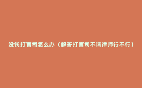 没钱打官司怎么办（解答打官司不请律师行不行）