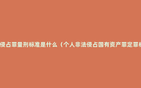 职务侵占罪量刑标准是什么（个人非法侵占国有资产罪定罪标准）