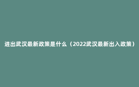 进出武汉最新政策是什么（2022武汉最新出入政策）