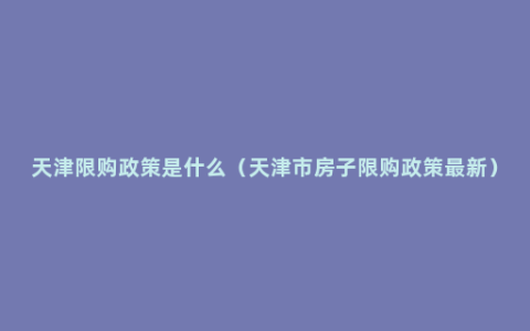 天津限购政策是什么（天津市房子限购政策最新）