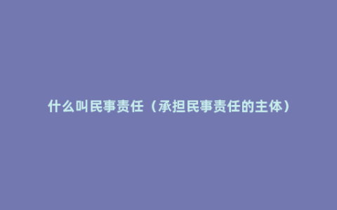 什么叫民事责任（承担民事责任的主体）