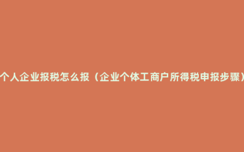 个人企业报税怎么报（企业个体工商户所得税申报步骤）