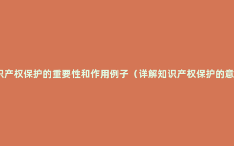 知识产权保护的重要性和作用例子（详解知识产权保护的意义）