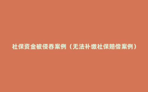 社保资金被侵吞案例（无法补缴社保赔偿案例）