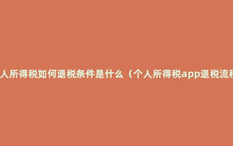 个人所得税如何退税条件是什么（个人所得税app退税流程）