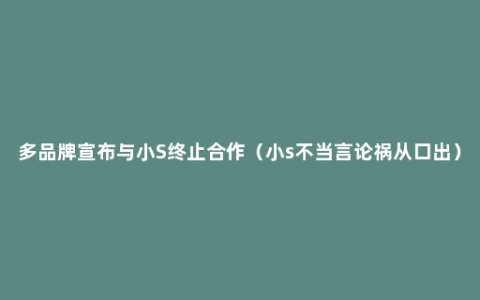 多品牌宣布与小S终止合作（小s不当言论祸从口出）