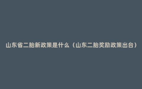 山东省二胎新政策是什么（山东二胎奖励政策出台）