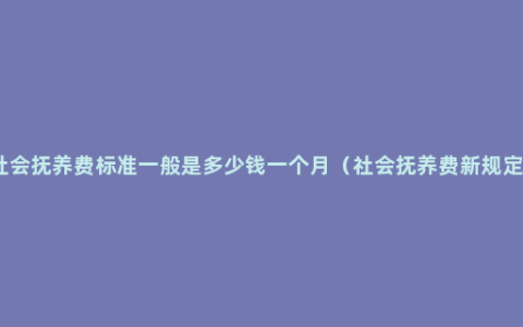 社会抚养费标准一般是多少钱一个月（社会抚养费新规定）