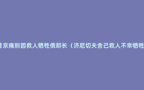 普京痛别因救人牺牲俄部长（济尼切夫舍己救人不幸牺牲）