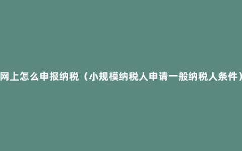 网上怎么申报纳税（小规模纳税人申请一般纳税人条件）