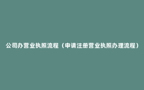 公司办营业执照流程（申请注册营业执照办理流程）