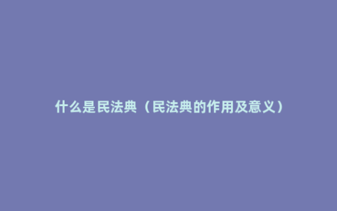 什么是民法典（民法典的作用及意义）