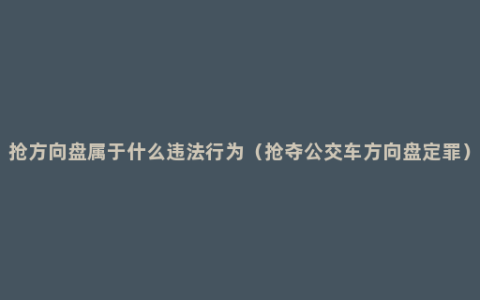 抢方向盘属于什么违法行为（抢夺公交车方向盘定罪）