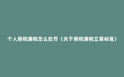 个人偷税漏税怎么处罚（关于偷税漏税立案标准）